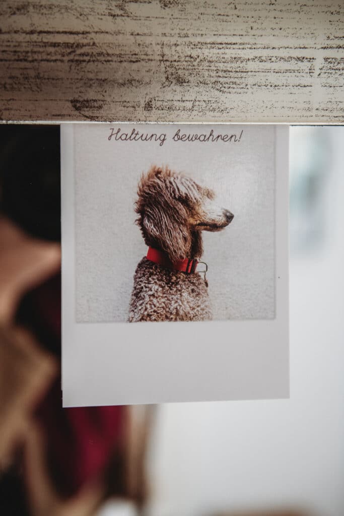 Postkarte mit dem Spruch "Haltung bewahren" im Atelier Urmel GmbH in Hattingen